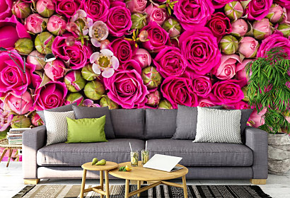 Fototapeta Bed of roses 1587